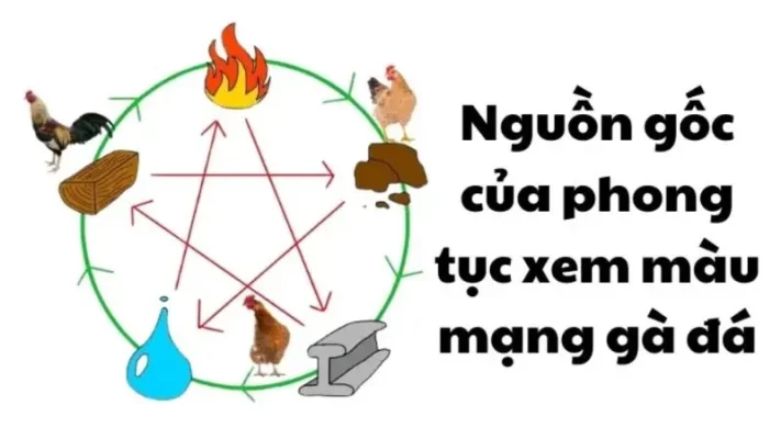 mau-mang-da-ga