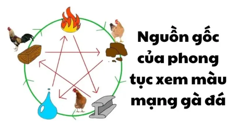 mau-mang-da-ga